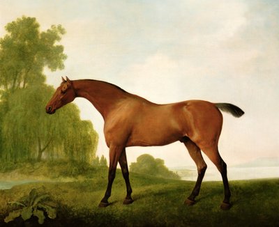 En Bay fullblod i ett landskap av George Stubbs