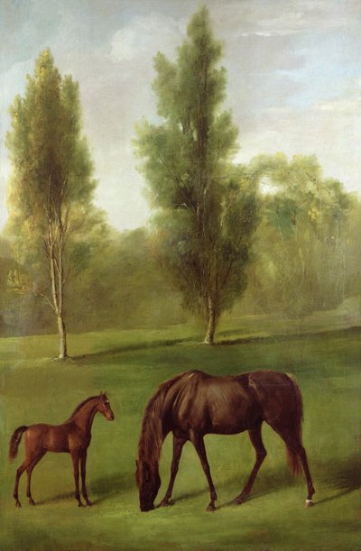 A Chestnut Mare and Fal in a Wooded Landscape, c.1761-63 (olja på duk) av George Stubbs
