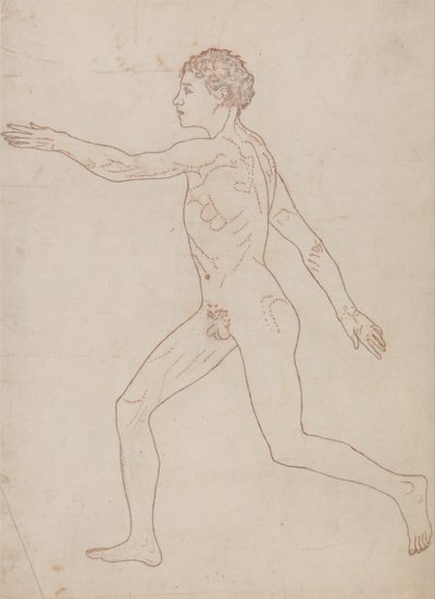 En jämförande anatomisk framställning av människokroppens struktur med en tiger och en vanlig höna: Människofigur, vy från sidan (översiktsstudie på baksidan av tabell VIII) av George Stubbs