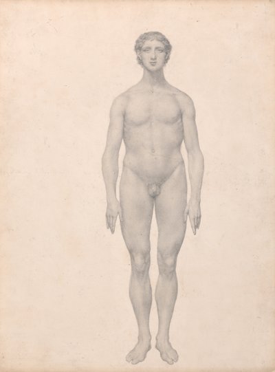 En jämförande anatomisk framställning av människokroppens struktur med tigerns och den vanliga fågelns:  Människofigur, framifrån sett, ograverad (Färdig studie för tabell VI) av George Stubbs