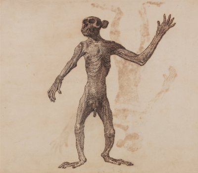 En jämförande anatomisk framställning av människokroppens struktur med tigerns och den vanliga fågelns:  Stående apa, vy framifrån av George Stubbs