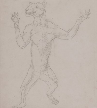 En jämförande anatomisk framställning av människokroppens struktur med tigerns och den vanliga hönsfågelns:  Tigerkropp, stående i mänsklig hållning av George Stubbs
