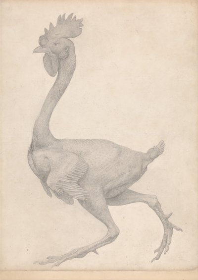 En jämförande anatomisk framställning av människokroppens struktur med tigerns och en vanlig hönas: Höns, sidovy med de flesta fjädrarna borttagna (Färdig studie för bord X) av George Stubbs