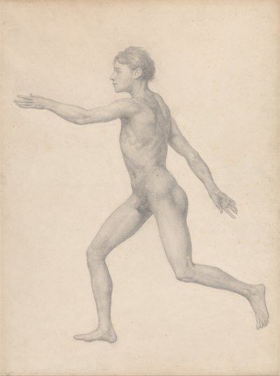 En jämförande anatomisk framställning av människokroppens struktur med den hos en tiger och en vanlig höna: Människofigur, sidovy, ograverad (Färdig studie för tabell VIII) av George Stubbs