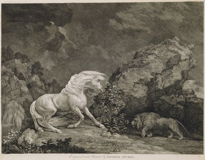 A Horse Frighted by a Lion, graverad av konstnären av George Stubbs