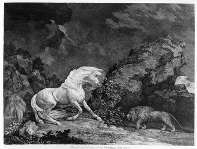 En häst som drabbas av ett lejon, graverad av konstnären, 1777 av George Stubbs