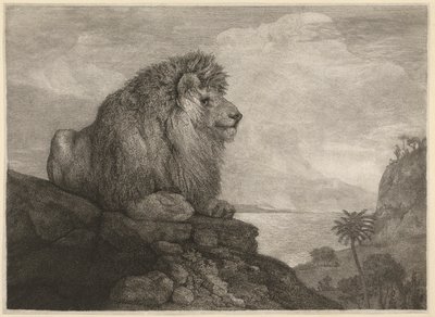Ett lejon (Ett lejon vilar på en sten) graverad av konstnären av George Stubbs