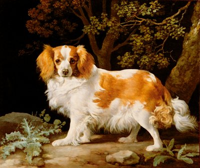 En lever och vit King Charles Spaniel i ett skogslandskap av George Stubbs