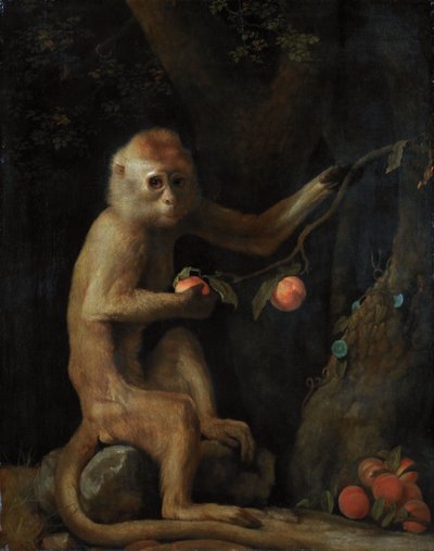 En apa av George Stubbs