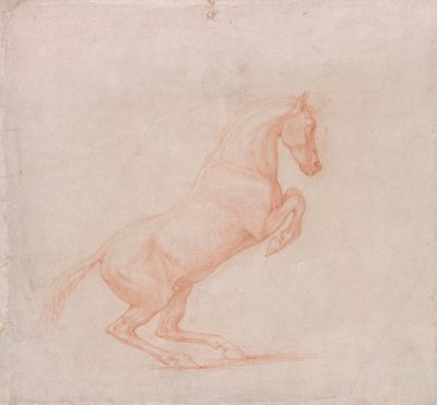 En stigande häst, vänd åt höger av George Stubbs