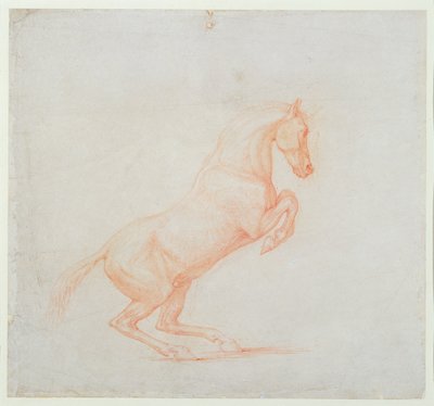 En häst som dansar till höger, 1790 (rödkrita på papper) av George Stubbs