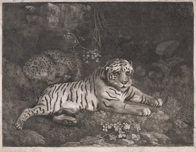 En tiger och en sovande leopard av George Stubbs