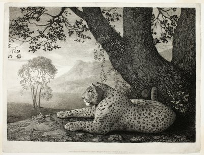 En Tyger (En liggande leopard vid ett träd) av George Stubbs