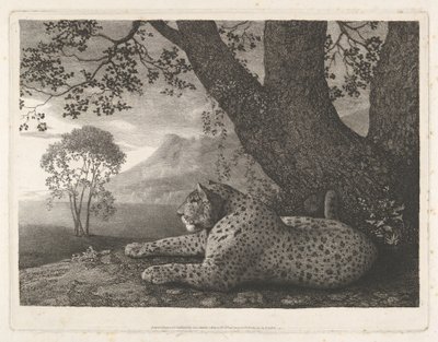En tiger (en liggande leopard vid ett träd) av George Stubbs