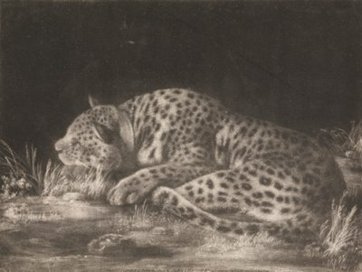En Tyger (sovande leopard) av George Stubbs