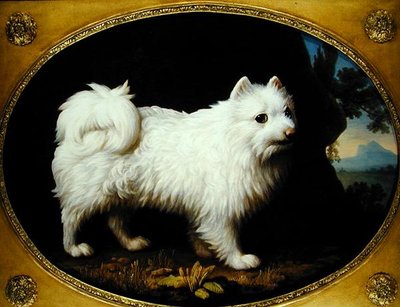 A White Spitz, ca 1770 (olja på emaljporslin) av George Stubbs