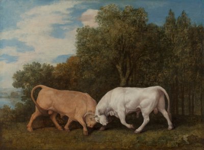 Tjurfäktning av George Stubbs