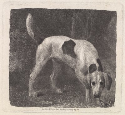 Dog (A Foxhound on the Scent) graverad av konstnären, pub. 1788 av George Stubbs