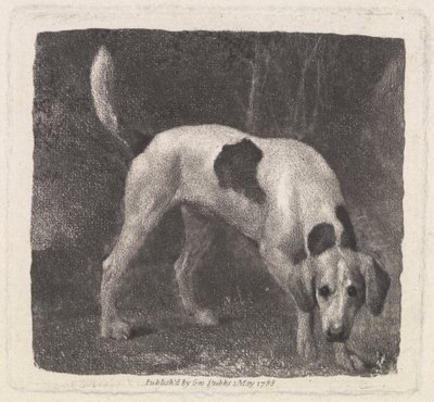 Hund [En rävhund på doften] av George Stubbs