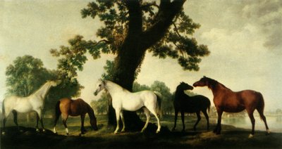 "Five Brood Mares på Duke of Cumberlands stuteri i Windsor Great Park", 1765, 1944. av George Stubbs