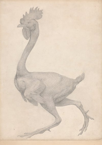 Fågel, sidovy med de flesta fjädrarna borttagna (avslutad studie för tabell X) av George Stubbs