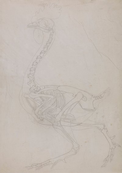 swedish av George Stubbs