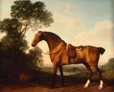 G.Stubbs, en sadlad Bay Hunter av George Stubbs