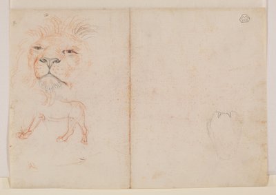 Huvud av ett lejon, tergo, 1700- eller 1800-tal av George Stubbs