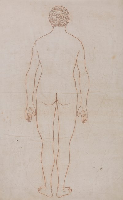 Människokroppen, bakifrån (konturritning för tabell VII) av George Stubbs