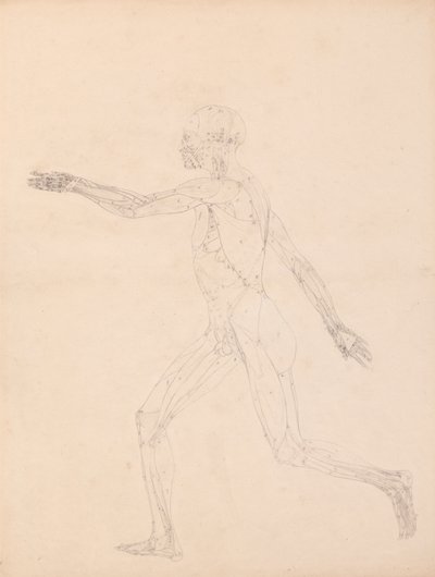 swedish av George Stubbs