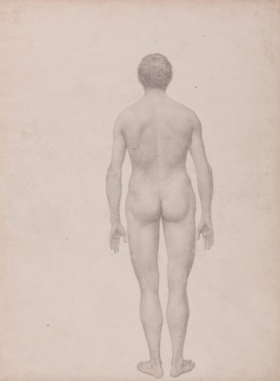 Människofigur, vy bakifrån, odissected (avslutad studie för tabell VII) av George Stubbs