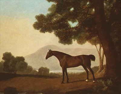 "Johnny", en vikhingst i ett skogslandskap av George Stubbs