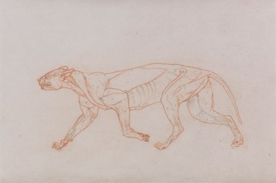 Leopardkropp, sidovy av George Stubbs