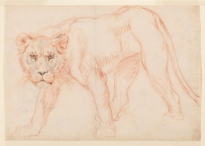 Lioness prowling, recto, 1700- eller 1800-tal av George Stubbs