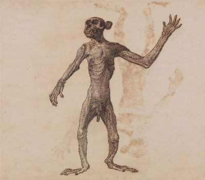 Apa Stående, Framifrån av George Stubbs
