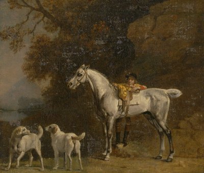 Studier för eller efter "Den tredje hertigen av Richmond med Charletonjakten" av George Stubbs