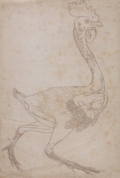 Studie av en fågel, sidovy, från en jämförande anatomisk beskrivning av människokroppens struktur med en tiger och en vanlig fågel, 1795-1806 (grafit och röd krita på papper) av George Stubbs