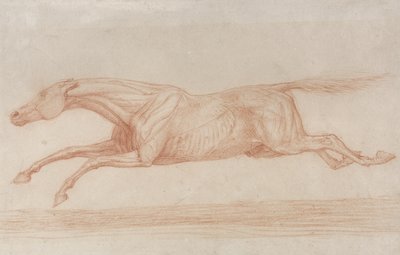 Undersøgelse af en væddeløbshest i aktion: galopperende til venstre (rødt kridt på brunpapir) sved av George Stubbs