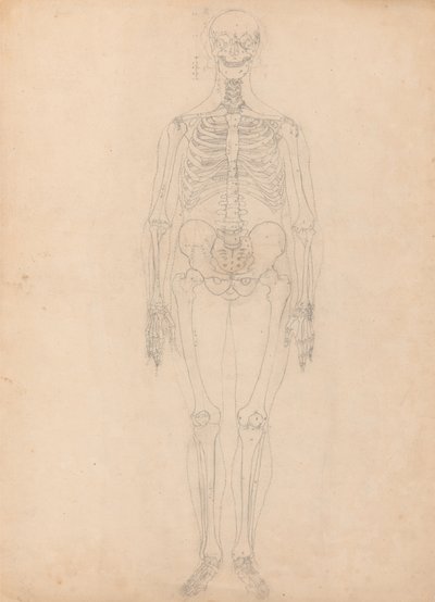 Studie av människofiguren, framifrån, diagram för nyckel till tabell I, från en jämförande anatomisk beskrivning av människokroppens struktur med en tiger och en höns, ca 1795-1806 (g av George Stubbs