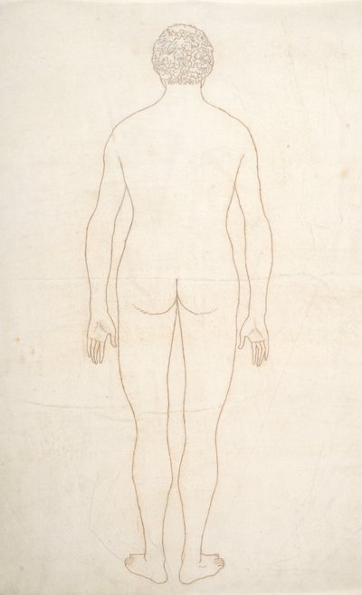 Studie av människofiguren, bakifrån, från en jämförande anatomisk utläggning av människokroppens struktur med en tiger och en höns, ca 1795-1806 (bläck på papper) av George Stubbs