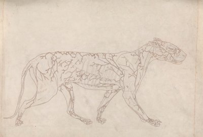 swedish av George Stubbs