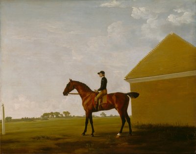 Turf, med Jockey upp, på Newmarket av George Stubbs