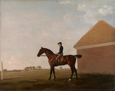 Turf, med Jockey uppe, på Newmarket, ca. 1766. av George Stubbs
