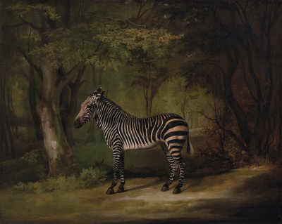 Zebra av George Stubbs