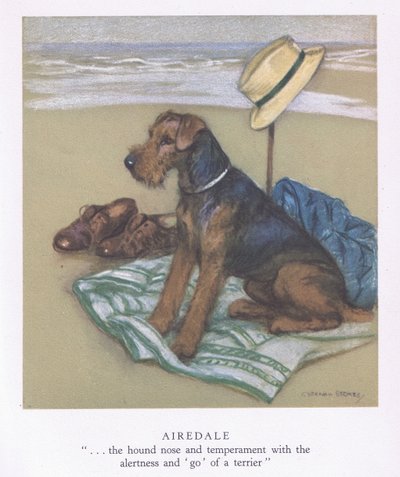 Airedale (färglitografi) av George Vernon Stokes