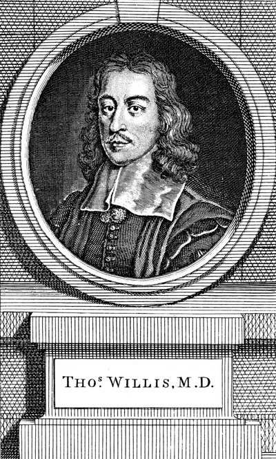 Thomas Willis, engelsk läkare från 1600-talet, 1742 av George Vertue