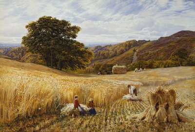 Skördetid nära Holmbury Hill, Surrey av George Vicat Cole