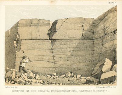 Stenbrott i Oolite, Minchinhampton, Gloucestershire (kolorerad gravyr) av George Victor Du Noyer