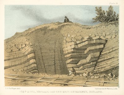 Trap Dyke, Dundalk and Enniskillen Railway, Irland (kolorerad gravyr) av George Victor Du Noyer