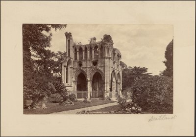 Dryburgh Abbey av George Washington Wilson